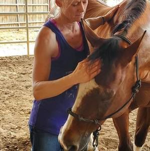 Meet your Posher, Wendy